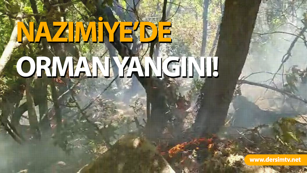 ORMANyangnı
